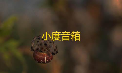 三角洲物资透视下载小度音箱